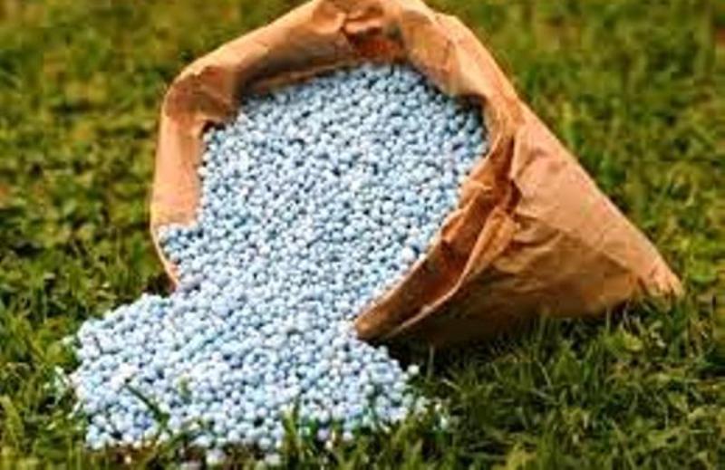 ५ वर्षका लागि भारतबाट मल किन्ने प्रस्ताव