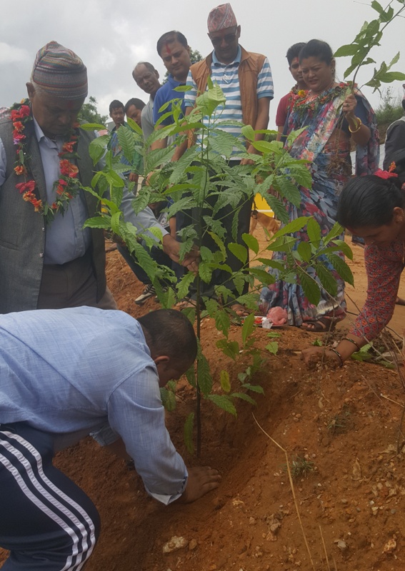 मेगा बैंकबाट स्याङ्जाको भीरकोटमा वृक्षारोपण