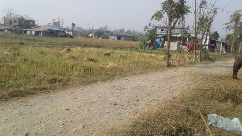 सार्वजनिक जग्गाको खोजी तथा संरक्षणको लागि उपसमिति गठन