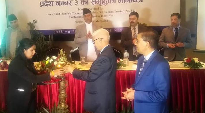 ‘पेट्रोलियम सवारी विस्थापनको काम सुरु गरिहालौं’