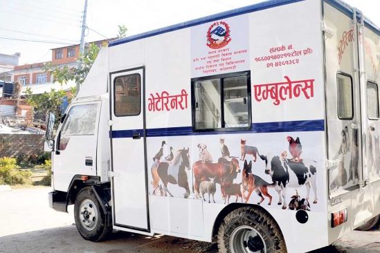 भेटेरिनरी एम्बुलेन्स खरिदमा व्यापक अनियमितता भएको खुलासा