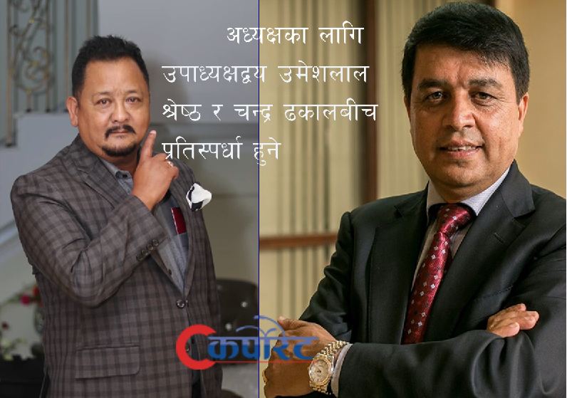 नेउबा महासंघको विशेष साधरणसभा कात्तिकमा, विधान संसोधन गरेर अध्यक्ष चुनाव हुने