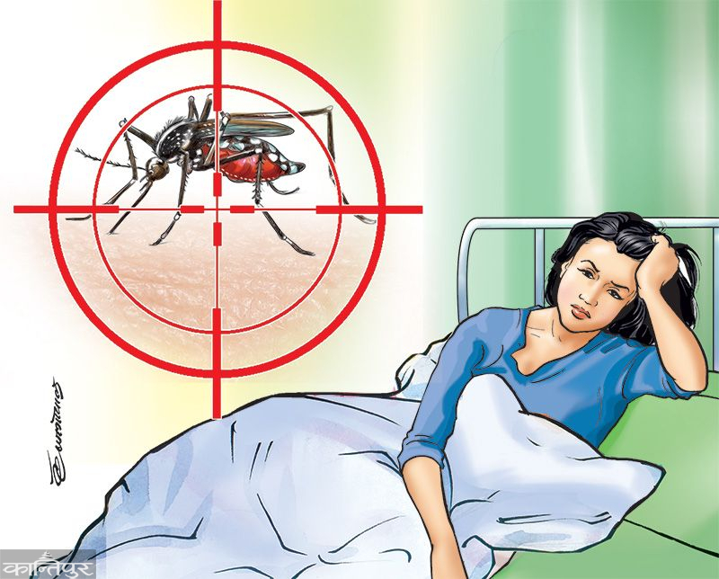 चितवनमा डेङ्गी र स्क्रब टाइफसका बिरामी बढे, सचेत रहन के के गर्ने ?