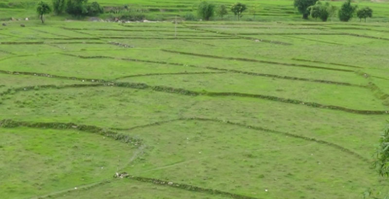 घरजग्गा कारोबारबाट फागुनमा चार अर्ब राजस्व सङ्कलन 