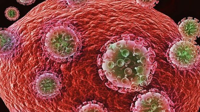 एकैदिन १२९ जनामा कोरोना पुष्टि, संक्रमित संख्या ९ सय १