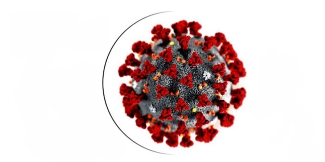 तनहुँमा कोरोना संक्रमितको संख्या ४ पुग्यो