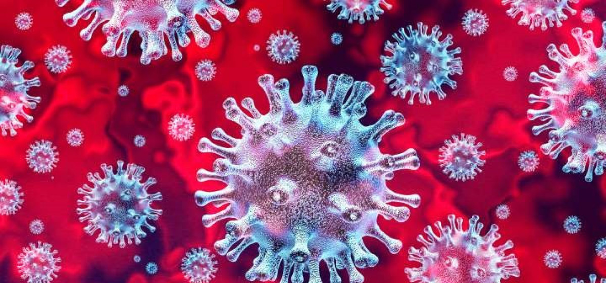 गण्डकी प्रदेशमा पोखरा महानगरका १० सहित कास्कीका १३ जनामा कोरोना संक्रमण पुष्टि