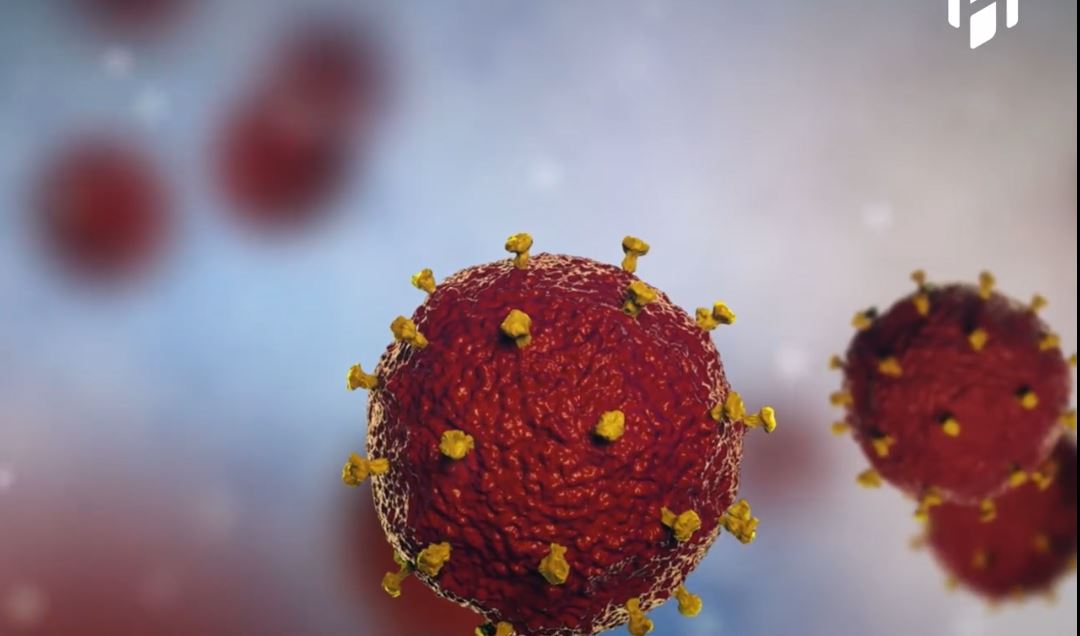 ओखलढुंगाका ७२ वर्षीय क्यान्सरपीडित सहित ५ जनाले कोरोना जितेपछि ओखलढुंगा हाललाई कोरोना संक्रमणमुक्त