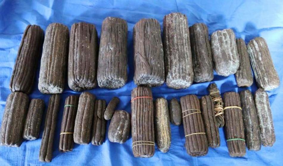 २५ किलो चरेससहित २ जना पक्राउ