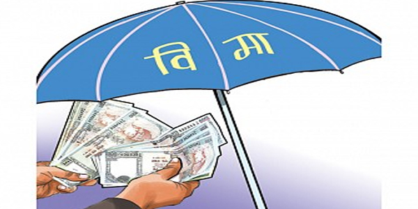 जीवन बीमा कम्पनीले आर्जन गरे साढे ५९ अर्ब बीमा शुल्क, नेपाल लाइफको सबैभन्दा बढी