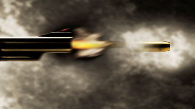 अमेरिकामा चार महिनामा २०७ गोलीकाण्ड