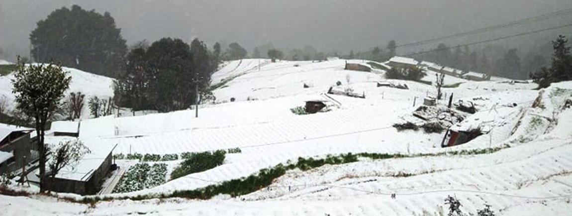 पाथीभरा क्षेत्रमा हिमपात