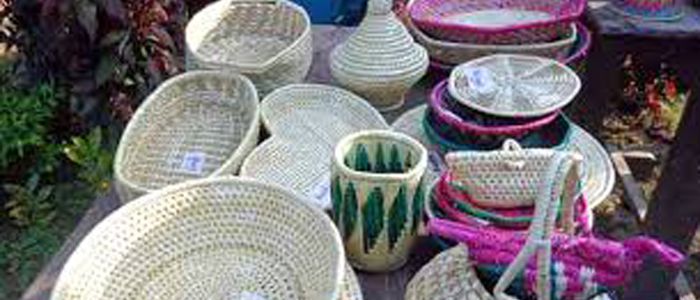 महिला हस्तकला मेला यही फागुन २२ देखि हुँदै