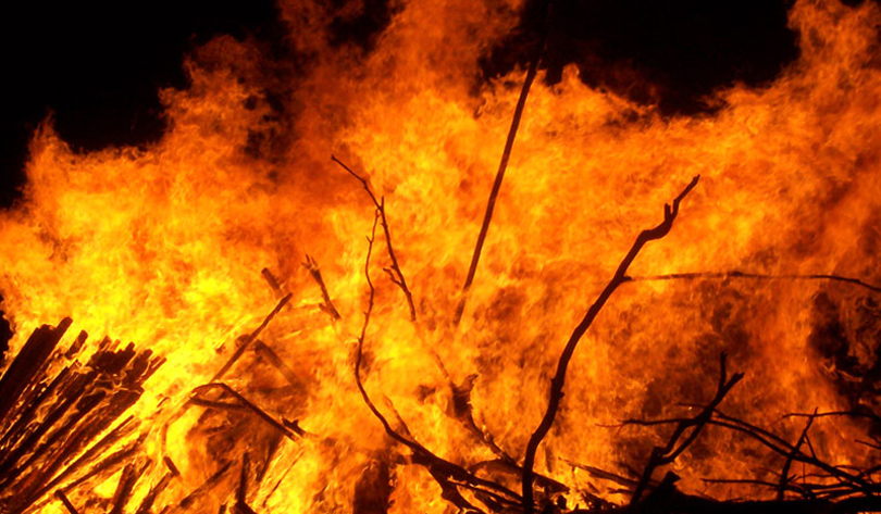 बाँकेका वनमा लागेको डढेलोले खरायो, सर्प र चरा मरे