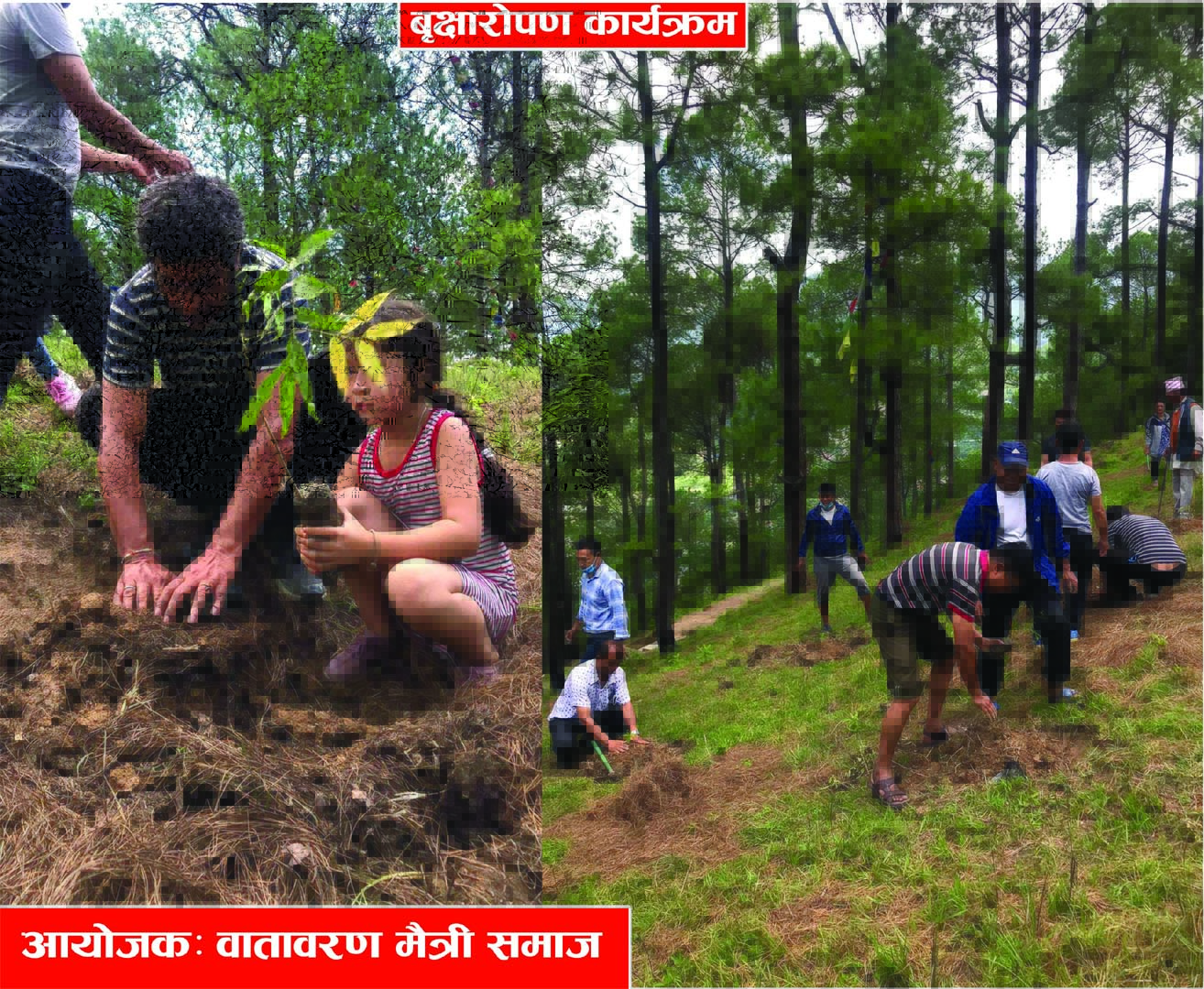 वाताबरण मैत्रीद्धारा रातमाटेमा बृक्षारोपण कार्यक्रम सम्पन्न