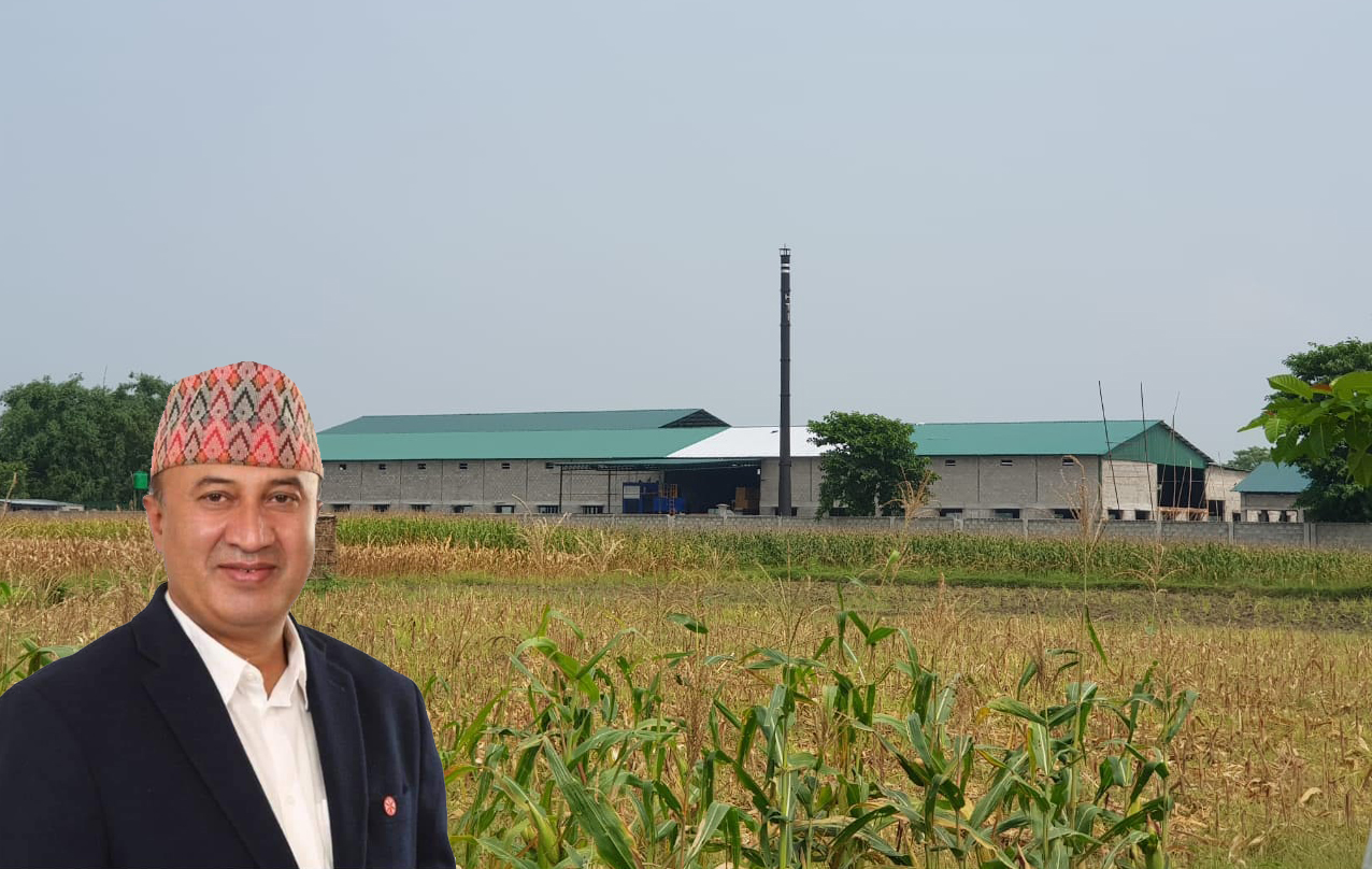 निर्यातसमेत गर्नेगरी हेरिटेज ग्रुपले सञ्चालनमा ल्यायो ३० करोड रुपैयाँ लगानीमा चिया उद्योग