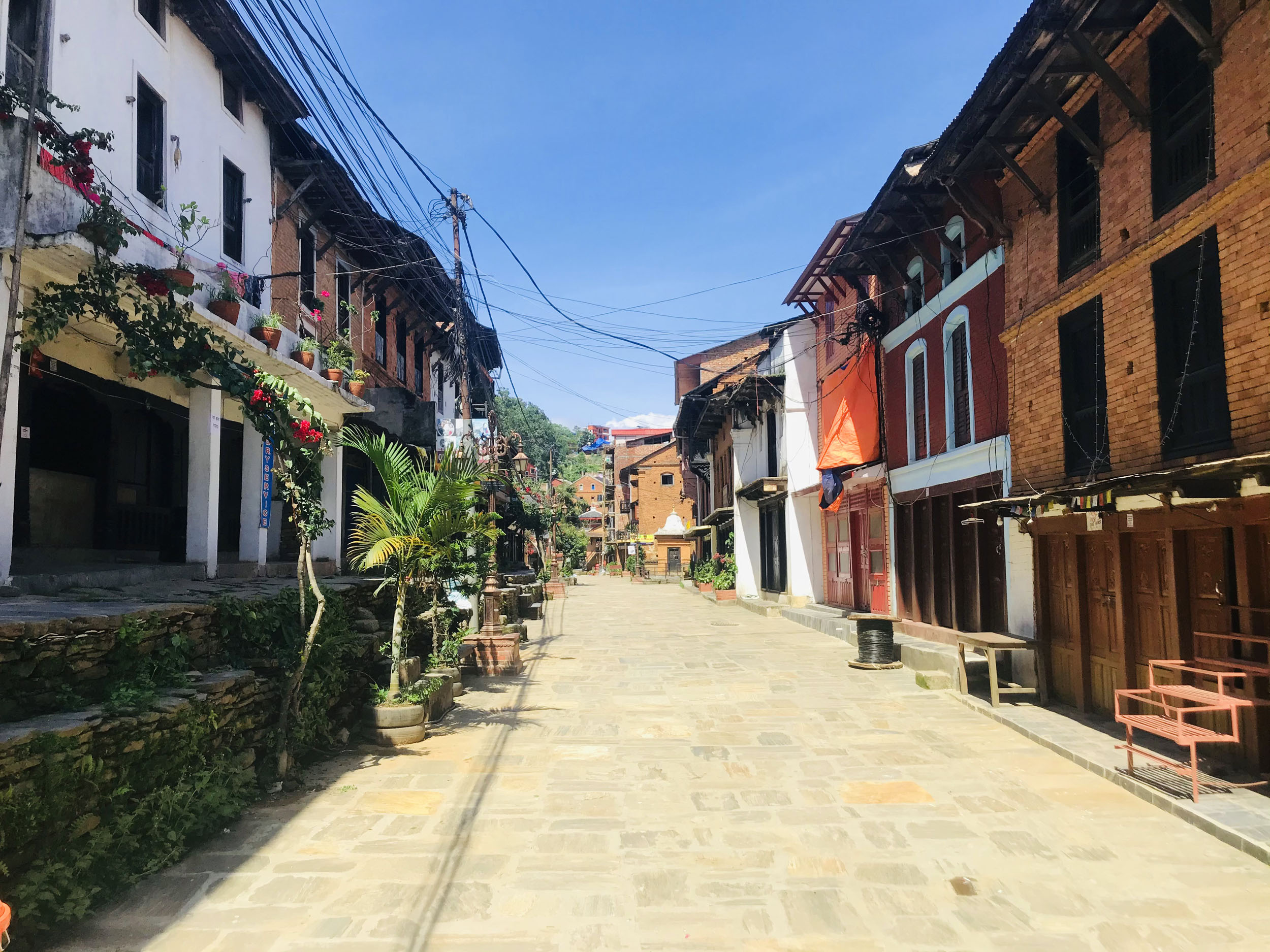 बन्दीपुरमा सडक खाना महोत्सव हुने