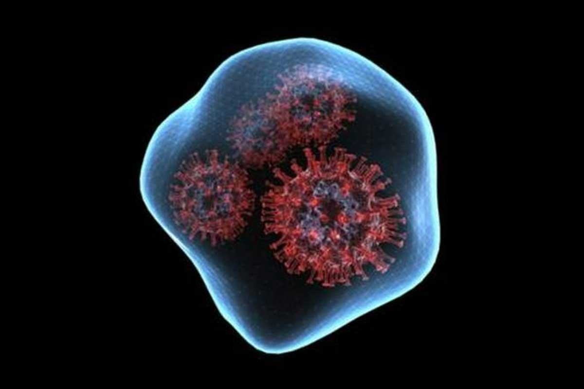 भारतमा फेरि दुई जनामा देखियो ओमिक्रोन