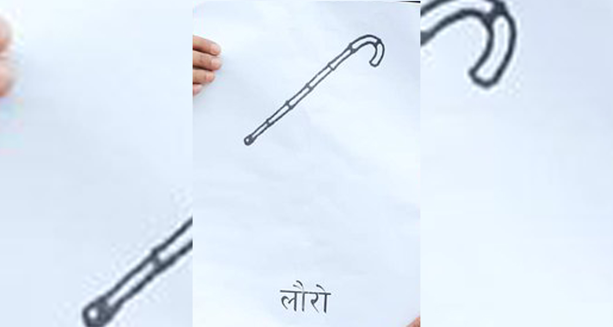 काठमाडौं र धरानमा चल्दा पोखरामा किन चलेन लौरो ?