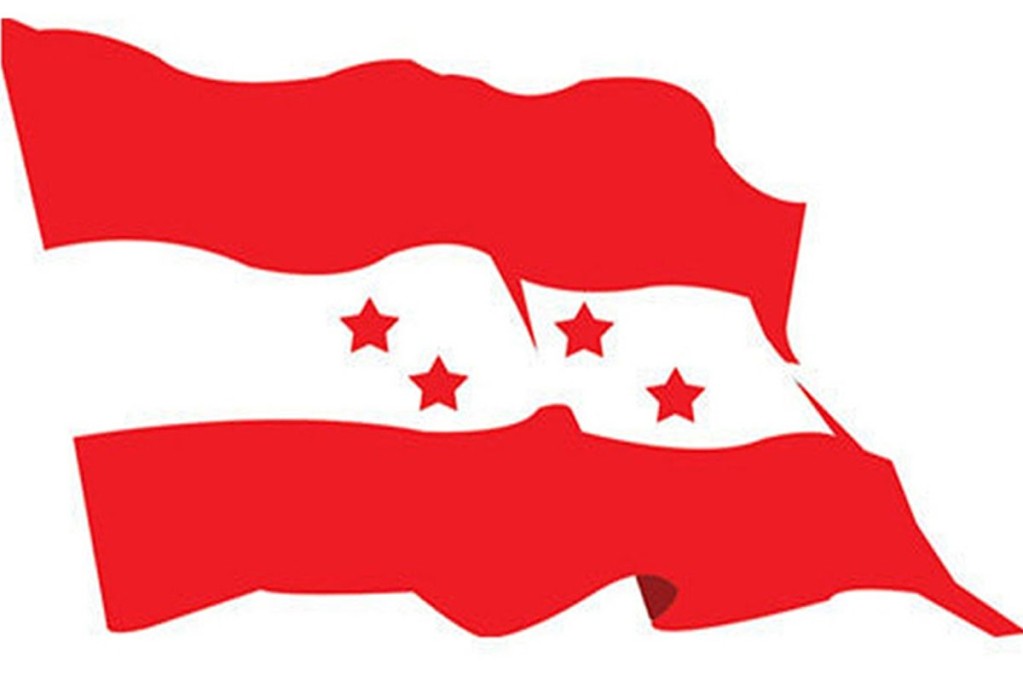 गुल्मीको मुसिकोट-१ मा कांग्रेसका आनन्द श्रेष्ठ विजयी, रास्वपालाई ४३ मत