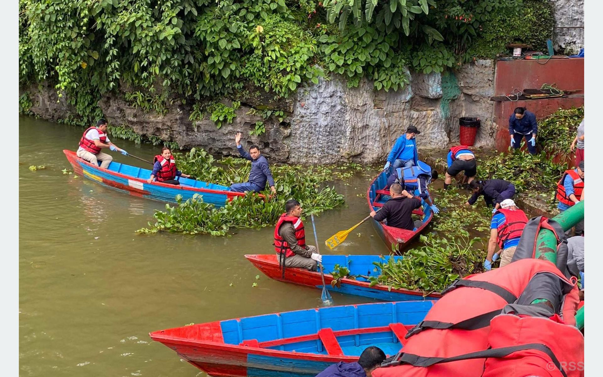 फेवातालको जलकुम्भी झार सफाइमा जुटे पोखरेली