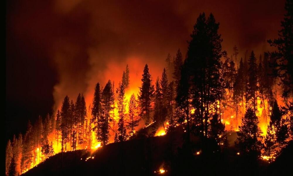 वन डढेलोले विकराल बन्दै, देशभर १६५ ठाउँमा डढेलो