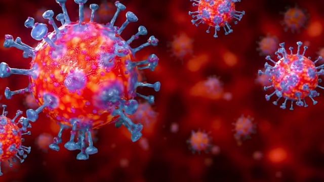 पाँच सय ६२ सक्रिय सङ्क्रमित थप १६ जनामा कोरोना सङ्क्रमण पुष्टि