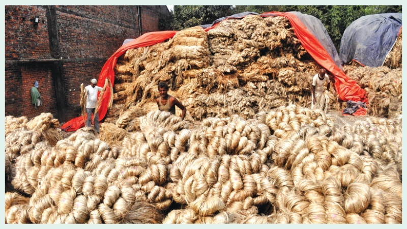 जुट उत्पादन निरन्तर ओरालोः पछिल्लो ७ वर्षमा ६ हजार मेट्रिक टनले उत्पादन घट्यो