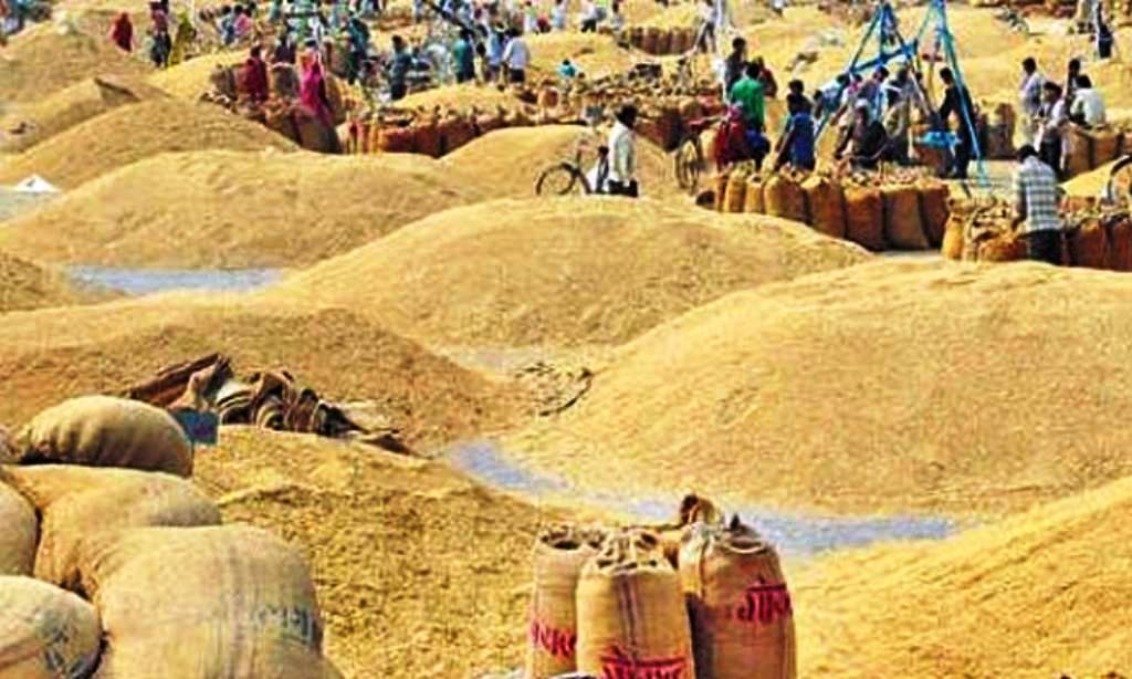 धानको आयात ५३ प्रतिशतले बढ्यो