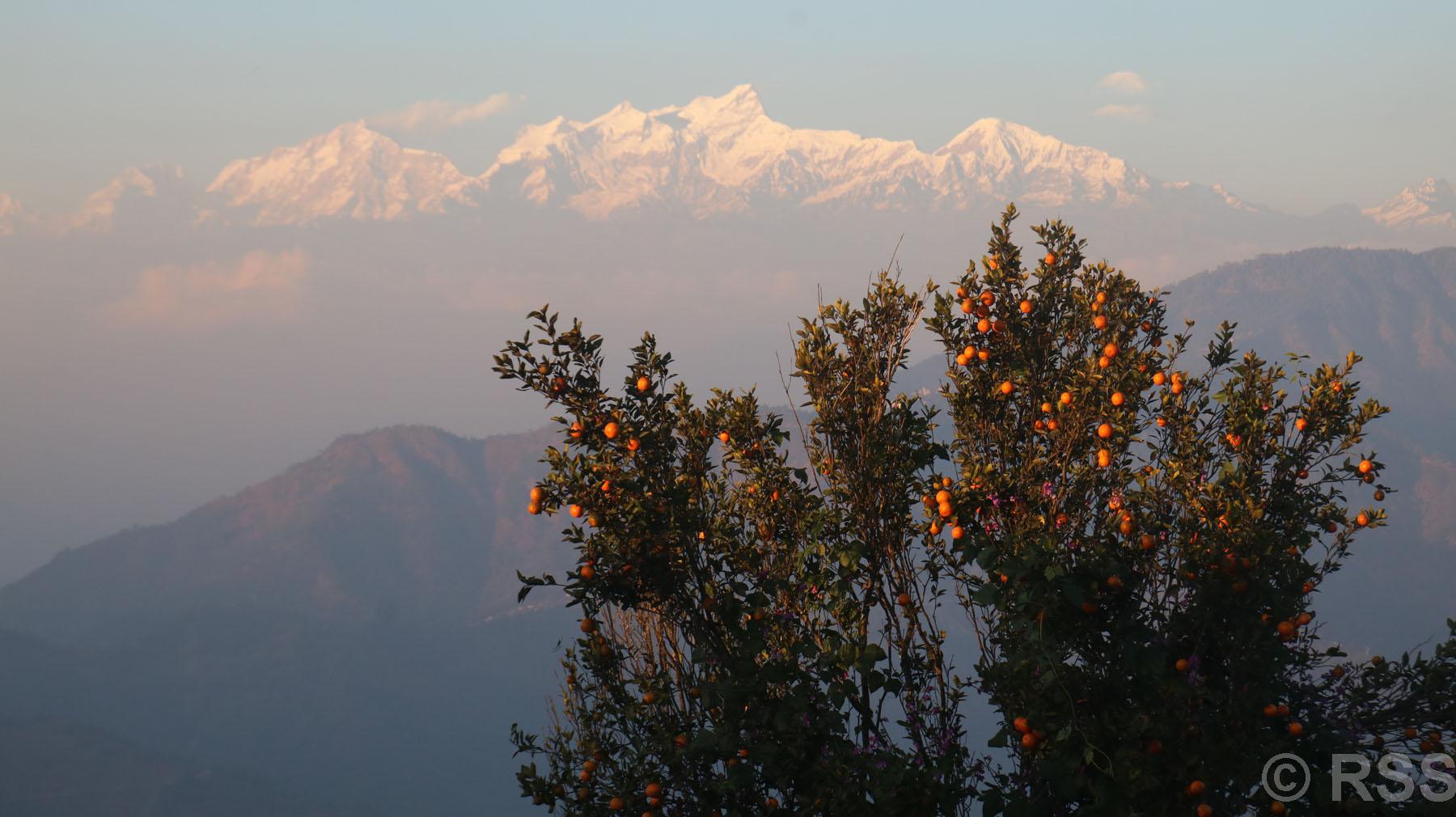 पर्यटकीय गन्तव्य बन्दै चितवनको पामडाँडा