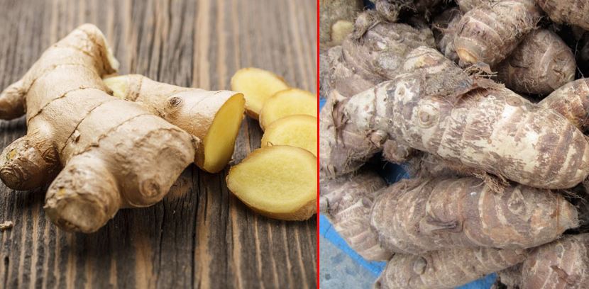 अदुवाको बीउमै दुई करोड भ्रष्टाचार, गल्याङका पूर्वप्रमुखविरुद्ध मुद्दा दायर