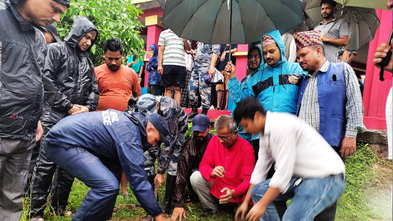 गोदावरीमा कल्पवृक्षका विरुवा रोपे