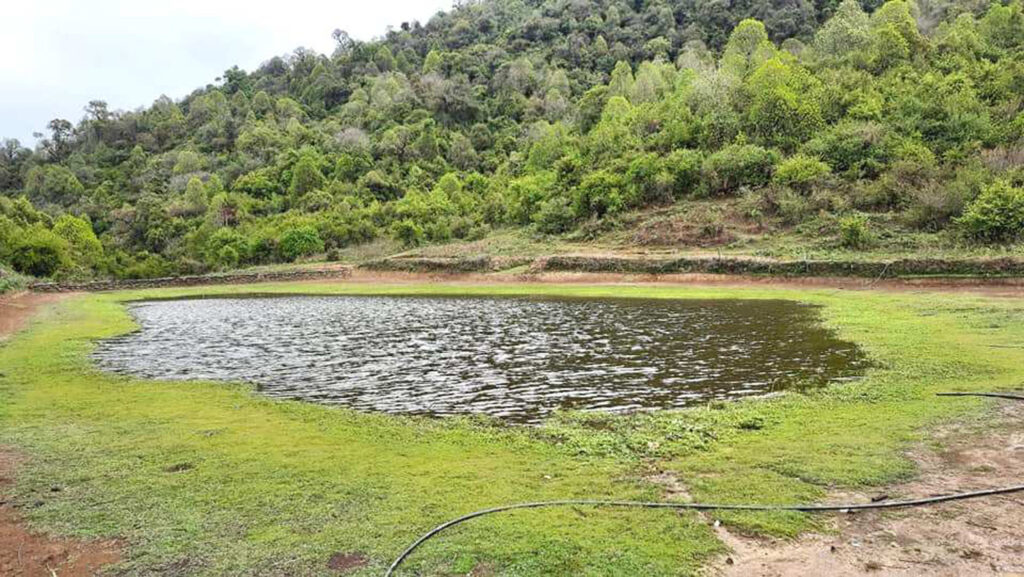 दाम्राङ पोखरीः पर्यटकीय गन्तव्यका रुपमा विकास गरिँदै