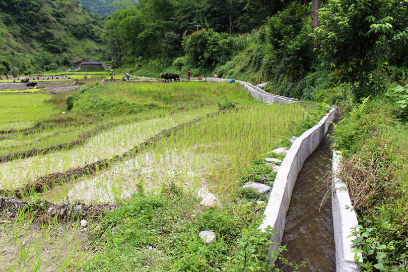 बागलुङका ७५ प्रतिशत खेतीयोग्य जमिनमा पुगेन सिँचाइ, किसान मर्कामा