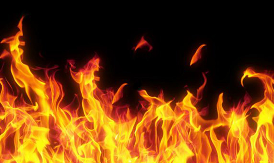 महिन्द्राको सर्भिसिङ सेन्टरमा आगलागी, ७ वटा गाडी जले