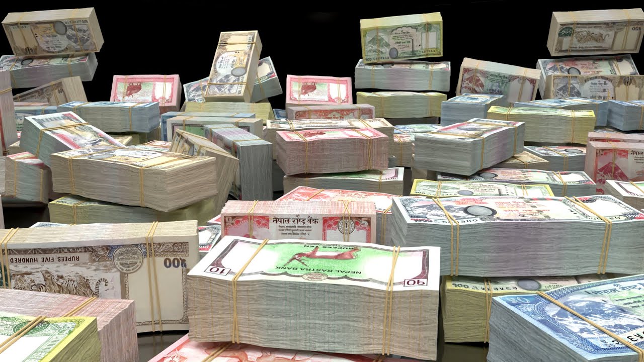 पोर्चुगलमा राहदानी शिविरबाट ५ करोड राजस्व सङ्कलन