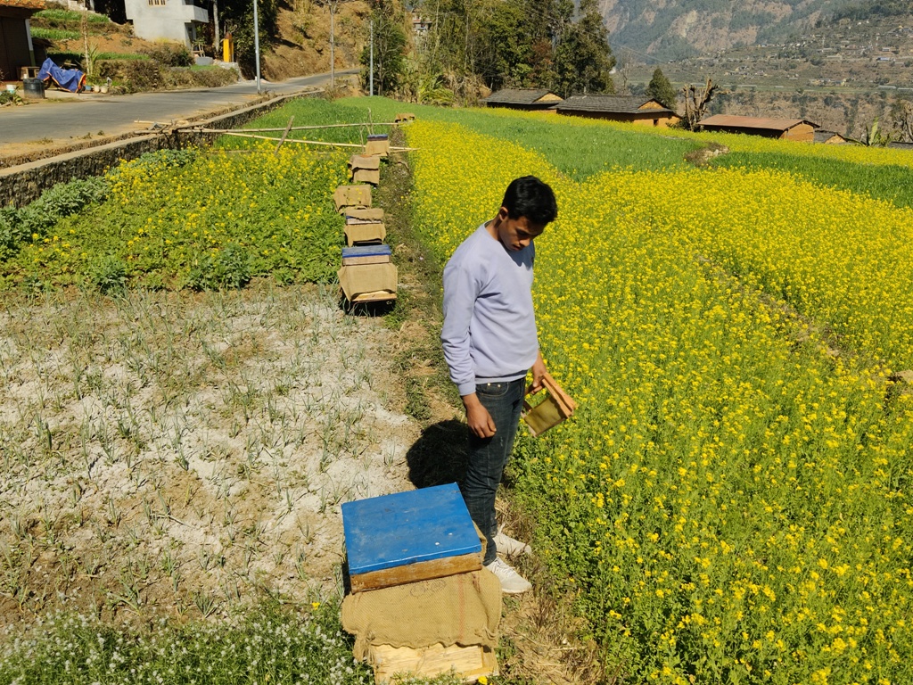 महको पकेट क्षेत्र बन्दै पोखराको अर्मला
