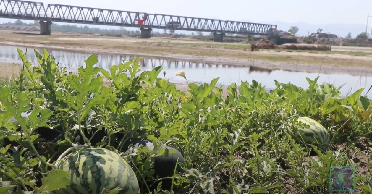 बगर खेतीबाट आत्मनिर्भर बन्दै राप्तीका किसान