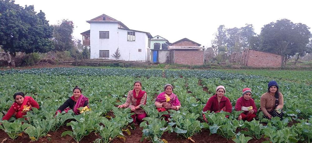 कञ्चनपुरका महिलाले दिन्छन् श्रीमानलाई पकेट खर्च