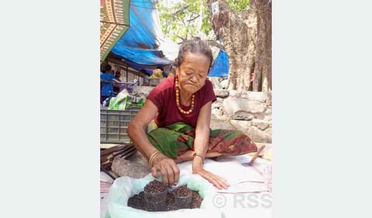 हाटबजार जीविकोपार्जनको प्रमुख आधार