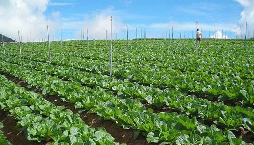 गरिबी हटाउन कृषि र पशुपालनमा जोड दिन मुख्यमन्त्री अधिकारीको आग्रह