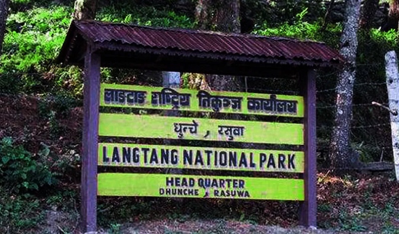 लाङ्टाङ राष्ट्रिय निकुञ्जमा बहुउद्देश्यीय नर्सरी निर्माण