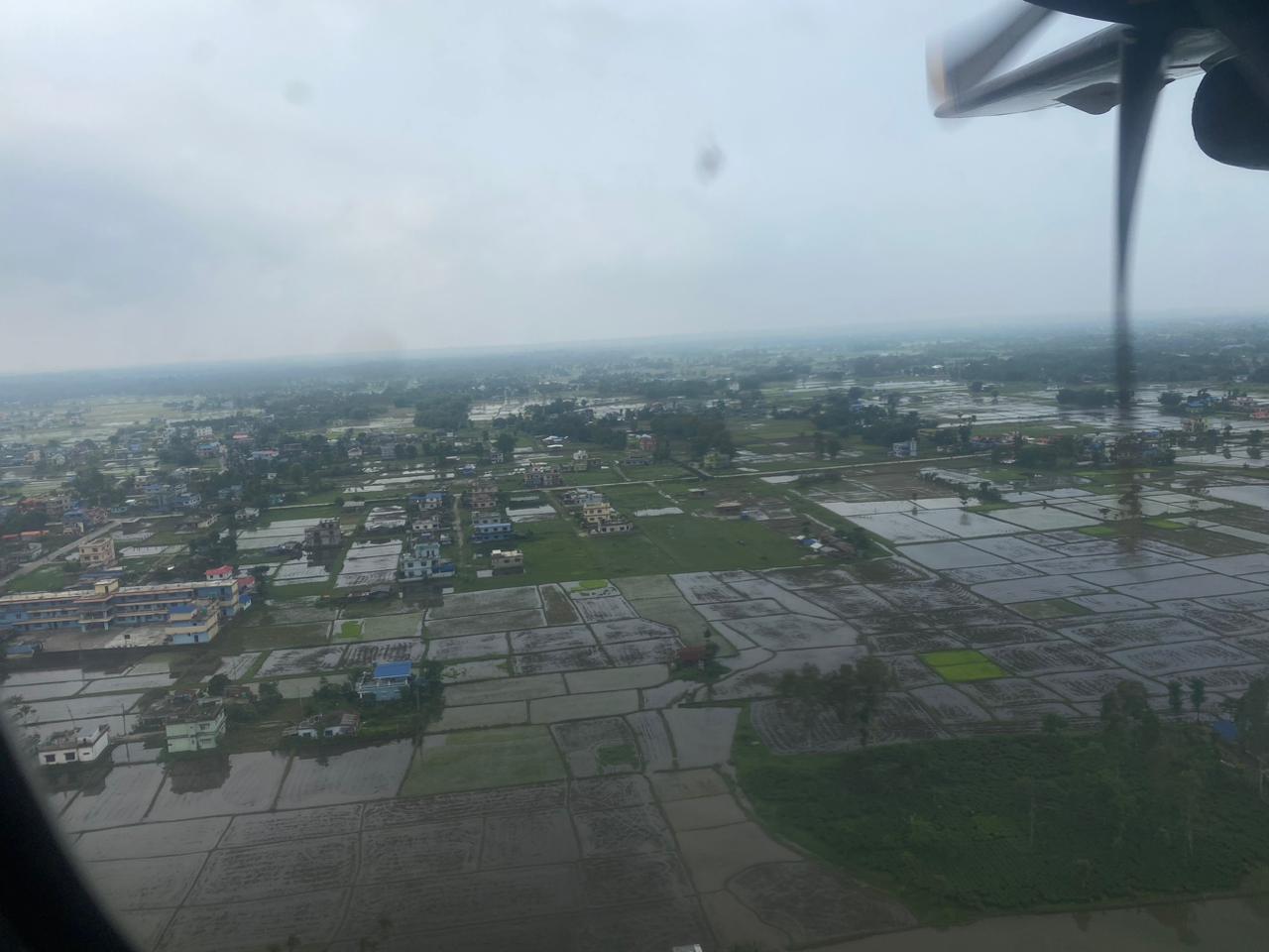 झापामै फल्यो १० हजार मेट्रिक टन सुपारी, एकै वर्षमा एउटा बोटबाट ५० किलोसम्म फल्ने