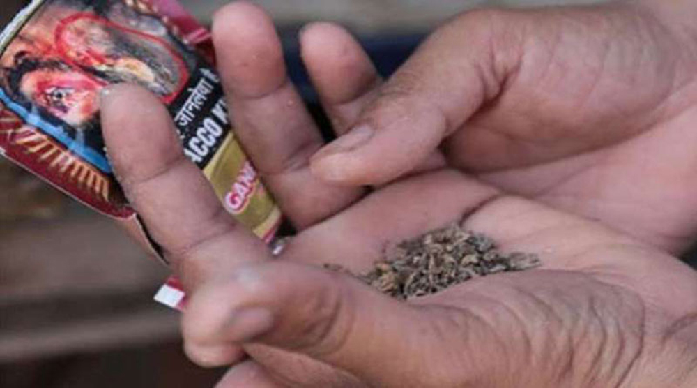 १० लाख नेपाली सेवन गर्छन सुर्ती, १ खर्ब २१ अर्ब खर्च