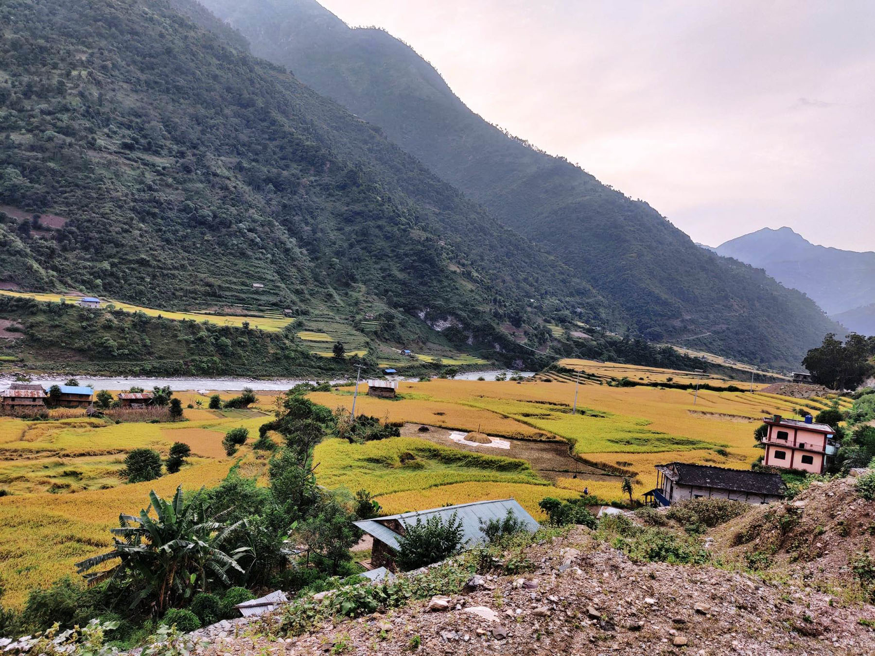 भूमि आयोगद्वारा बन्दीपुरमा जग्गा नापजाँच सुरु