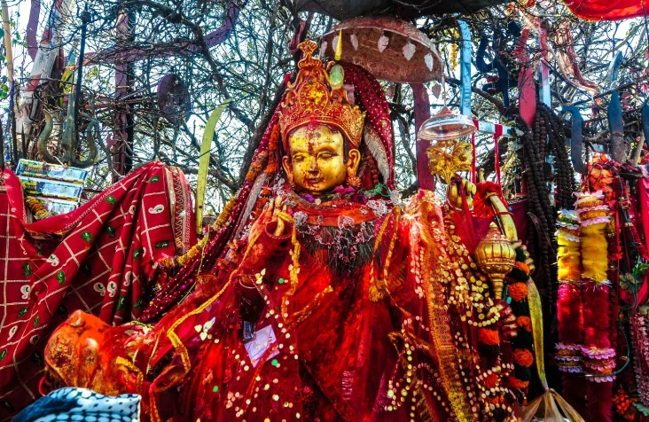 पाथीभराको मौलिकता संरक्षण गर्न सरोकारवालाको माग