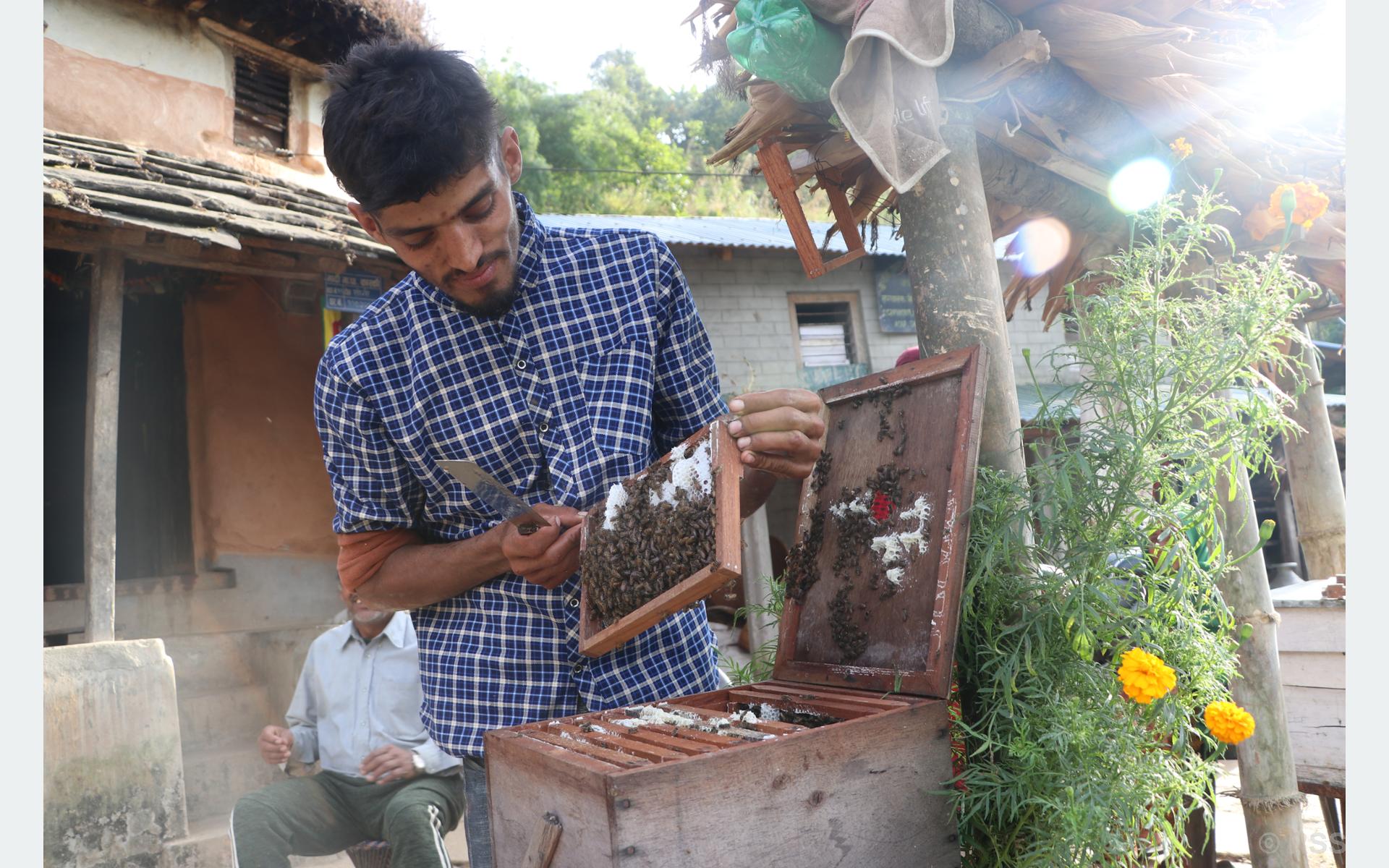 मौरीपालनबाट वार्षिक सात लाख आम्दानी गर्दै २७ वर्षीय युवा