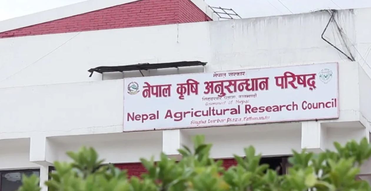 नार्कका निर्देशक नियुक्ति छानबिन गर्न माग