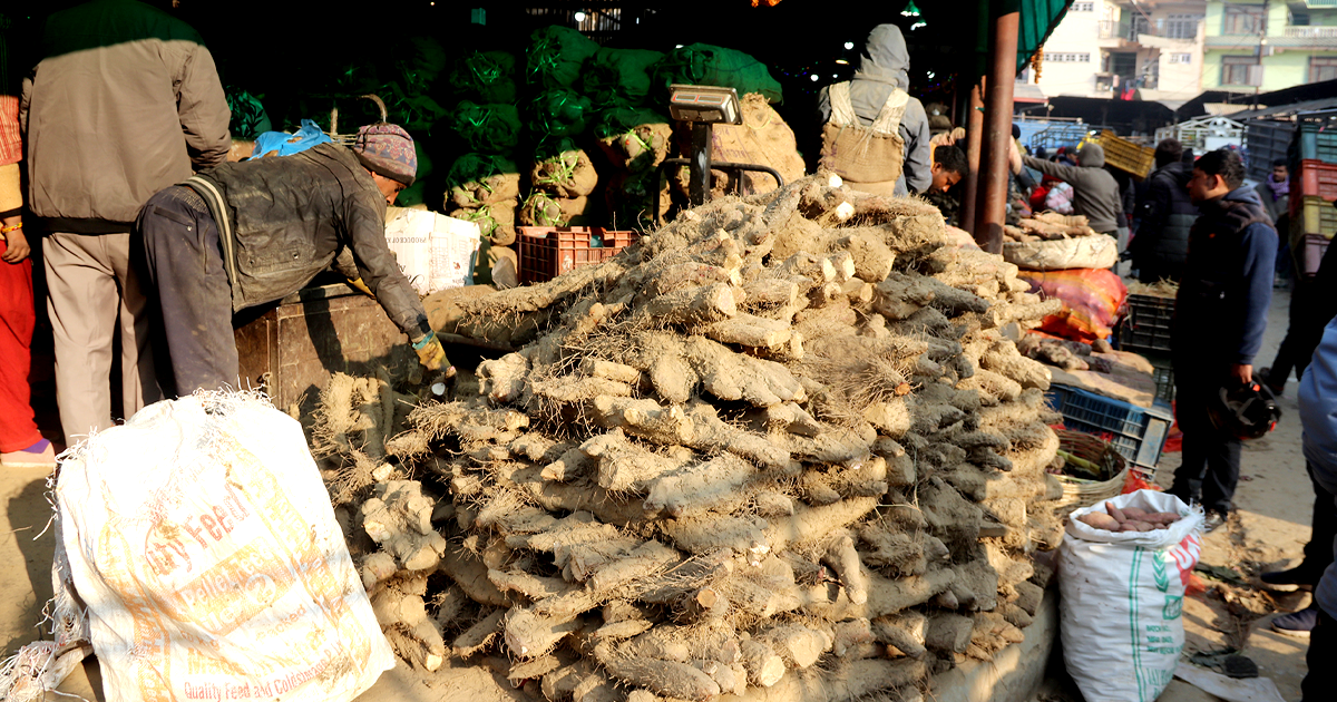 बाहुनडाँगीमा तरुल महोत्सव मनाइने, तरुलबाट बनाइएको मःम, पकौडा मुख्य आकर्षण