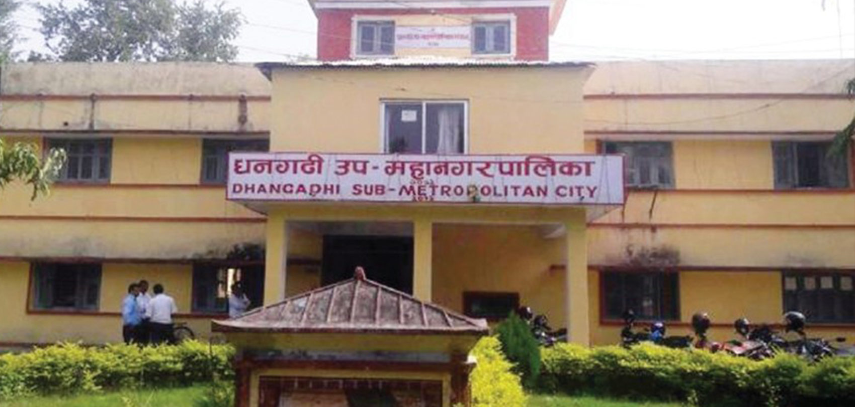 धनगढी उपमहानगरद्वारा विषादी प्रयोग गरिएका आँप नष्ट